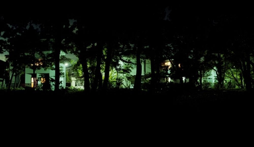 Late Visitor