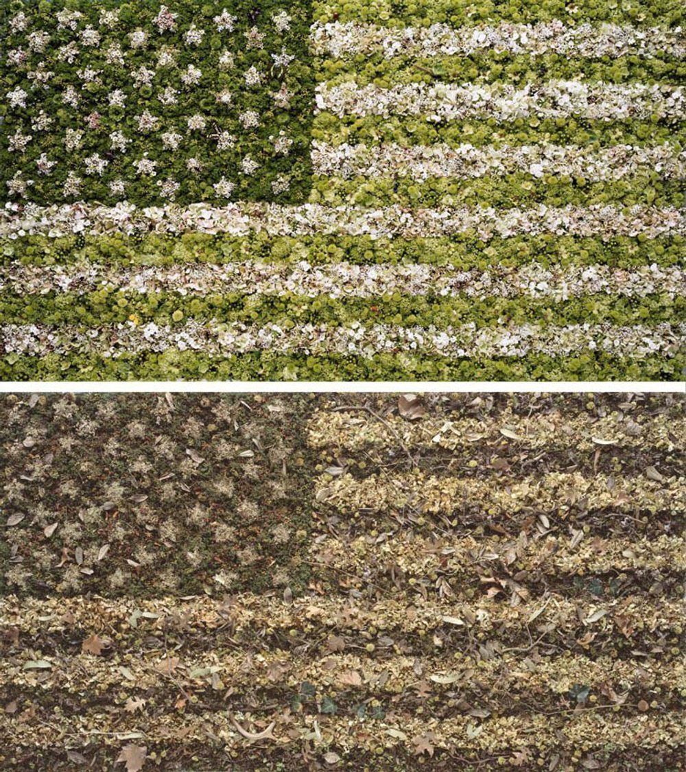 Two Flags