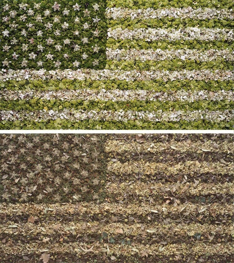 Two Flags