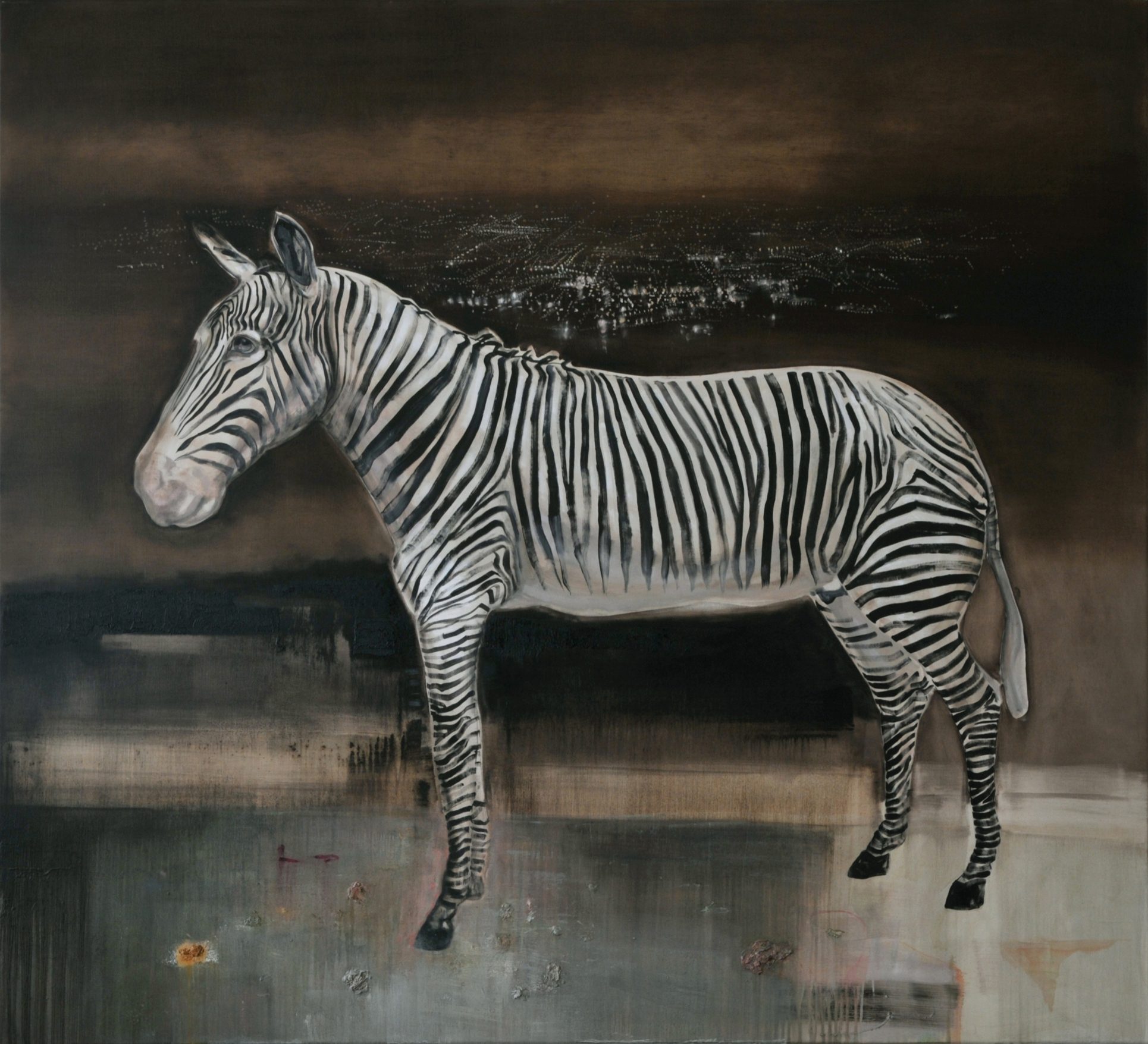 Considering the Zebra