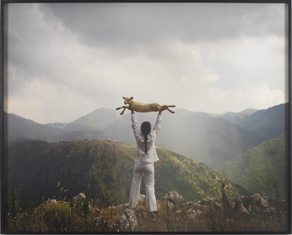 Holding the Lamb