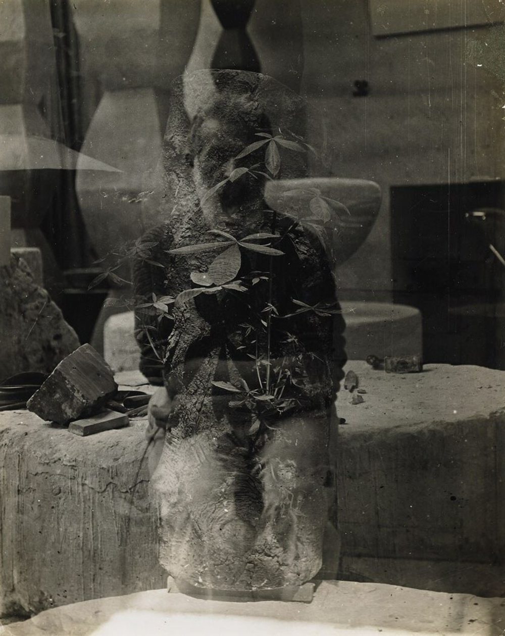 Autoportrait dans l'atelier et tronc d'arbre, Paris