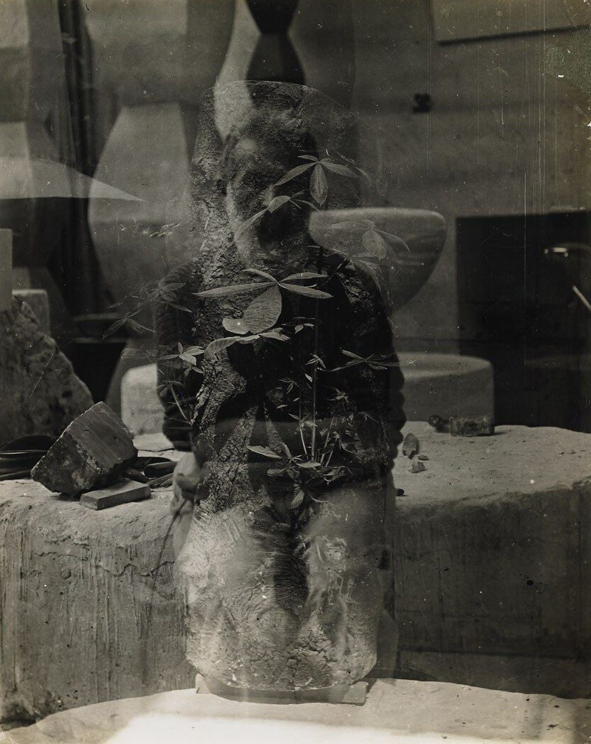 Autoportrait dans l'atelier et tronc d'arbre, Paris
