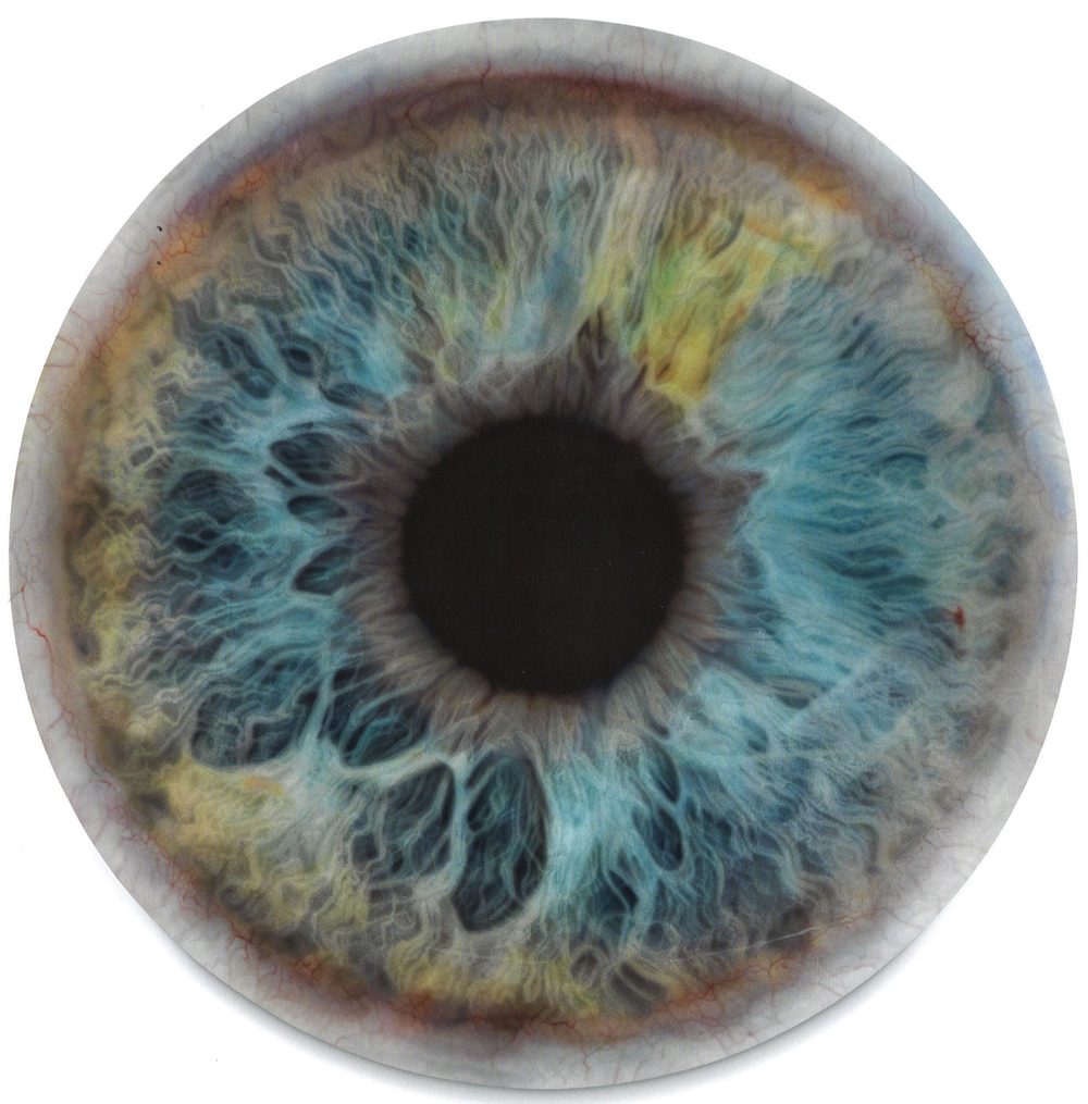 IRIS (We Share Our Chemistry with the Stars)